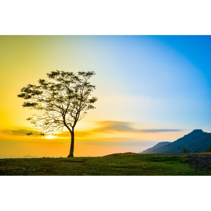 Autocolant Natura27, 220 x 135 cm