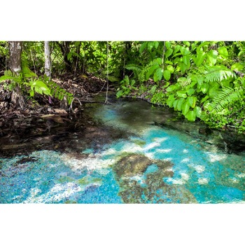 Tablou canvas Natura51, 60 x 40 cm Tablou canvas Natura51, 60 x 40 cm