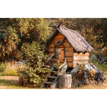 Tablou canvas Natura77, 45 x 30 cm Tablou canvas Natura77, 45 x 30 cm