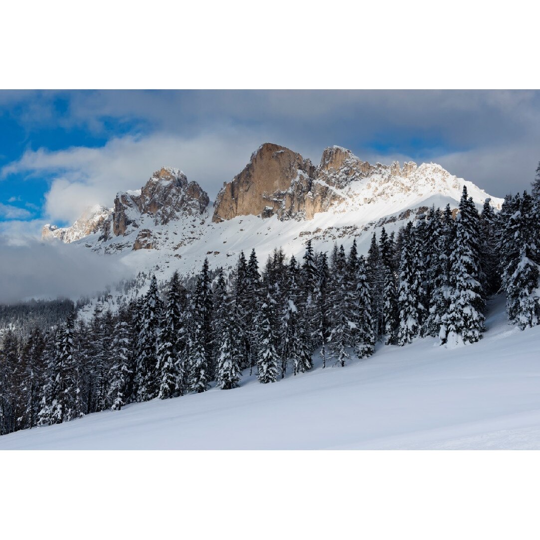 Fototapet de perete autoadeziv si lavabil Natura95, 270 x 200 cm