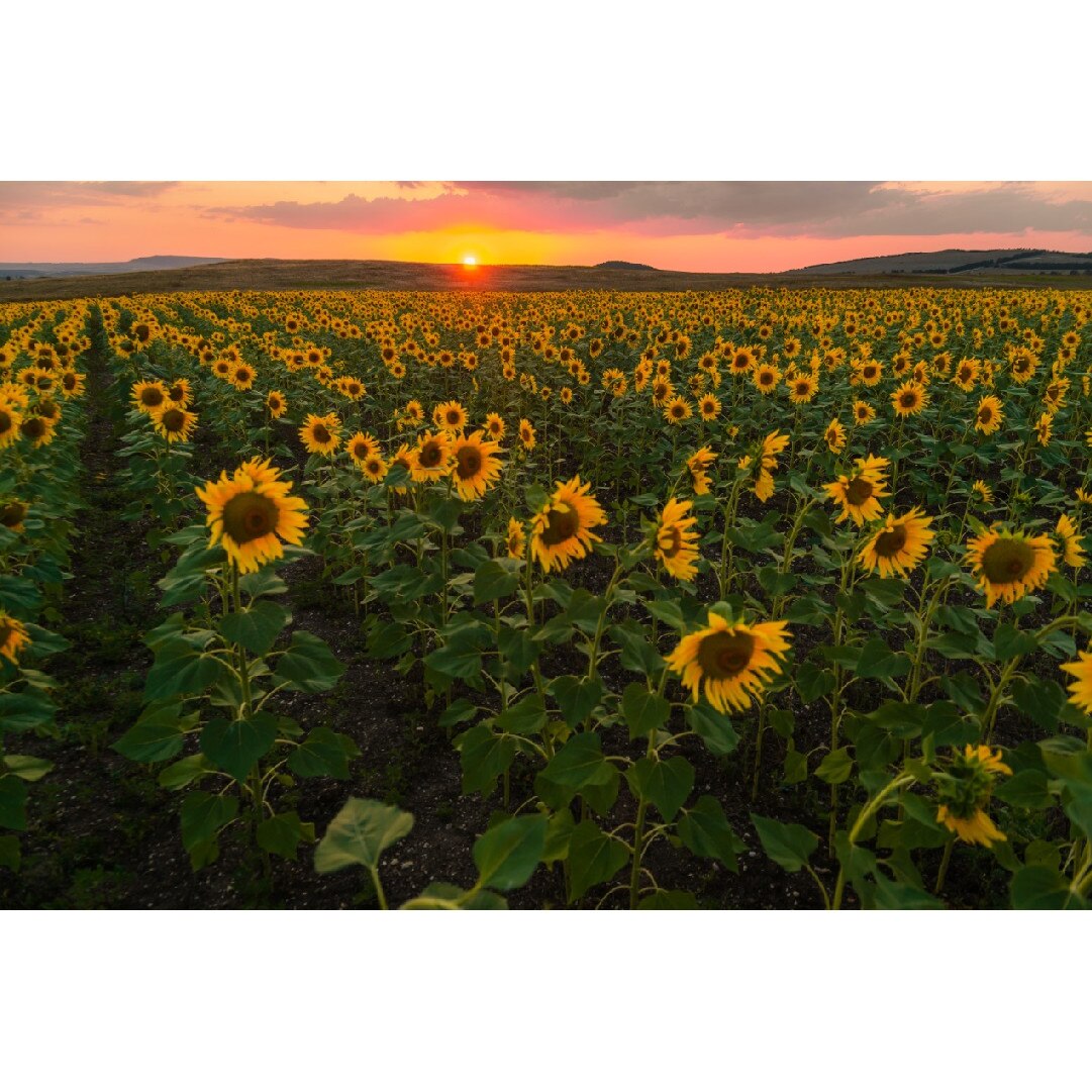 Fototapet de perete autoadeziv si lavabil Natura41, 220 x 135 cm