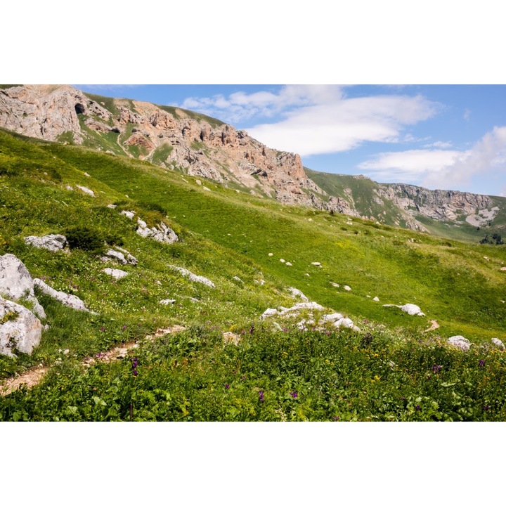 Natura90 tapéta, 400 x 250 cm