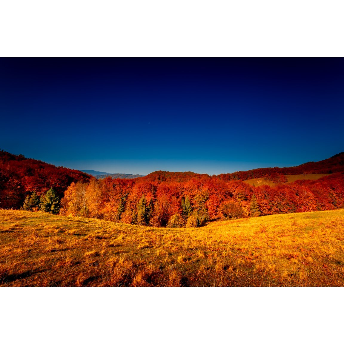 Tablou canvas Natura92, 105 x 70 cm