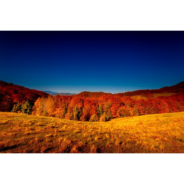 Fototapet de perete autoadeziv si lavabil Natura92, 250 x 200 cm