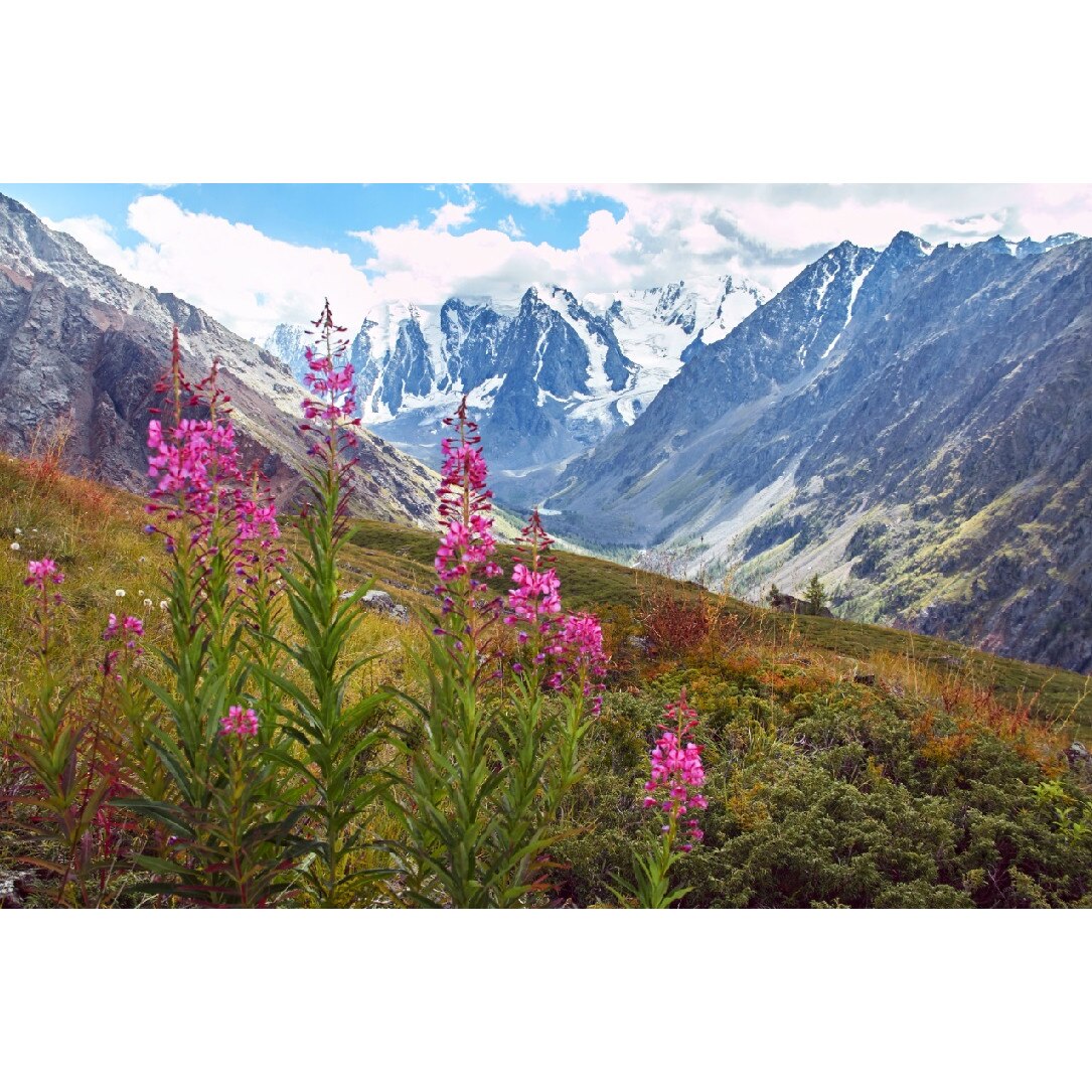 Tablou canvas Natura64, 105 x 70 cm