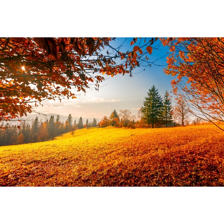 Fototapet autocolant Natura106, 250 x 200 cm