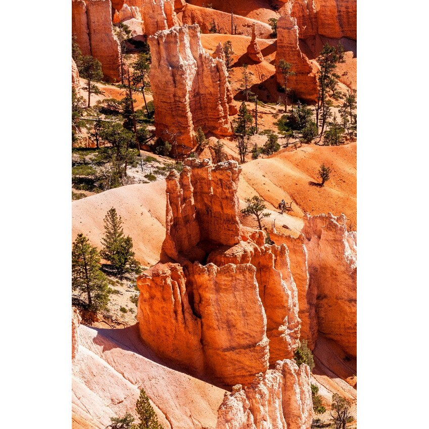 Tablou canvas Natura76, 70 x 105 cm