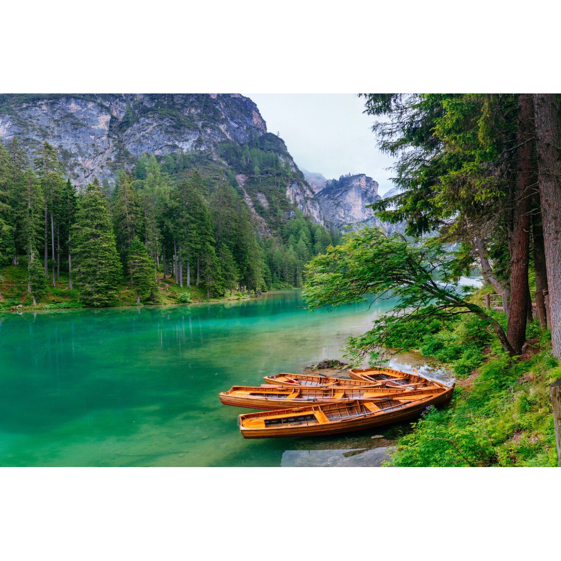 Tablou canvas Natura125, 90 x 60 cm