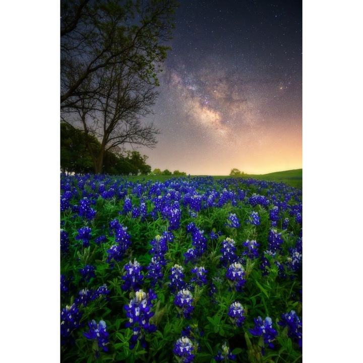 Blueback MAT Natura39 tapéta, 200 x 255 cm