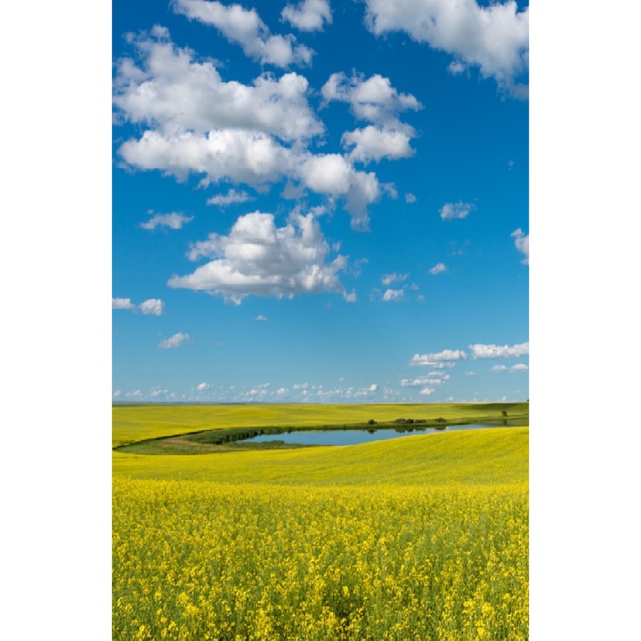 Fototapet de perete autoadeziv si lavabil Natura35, 150 x 205 cm