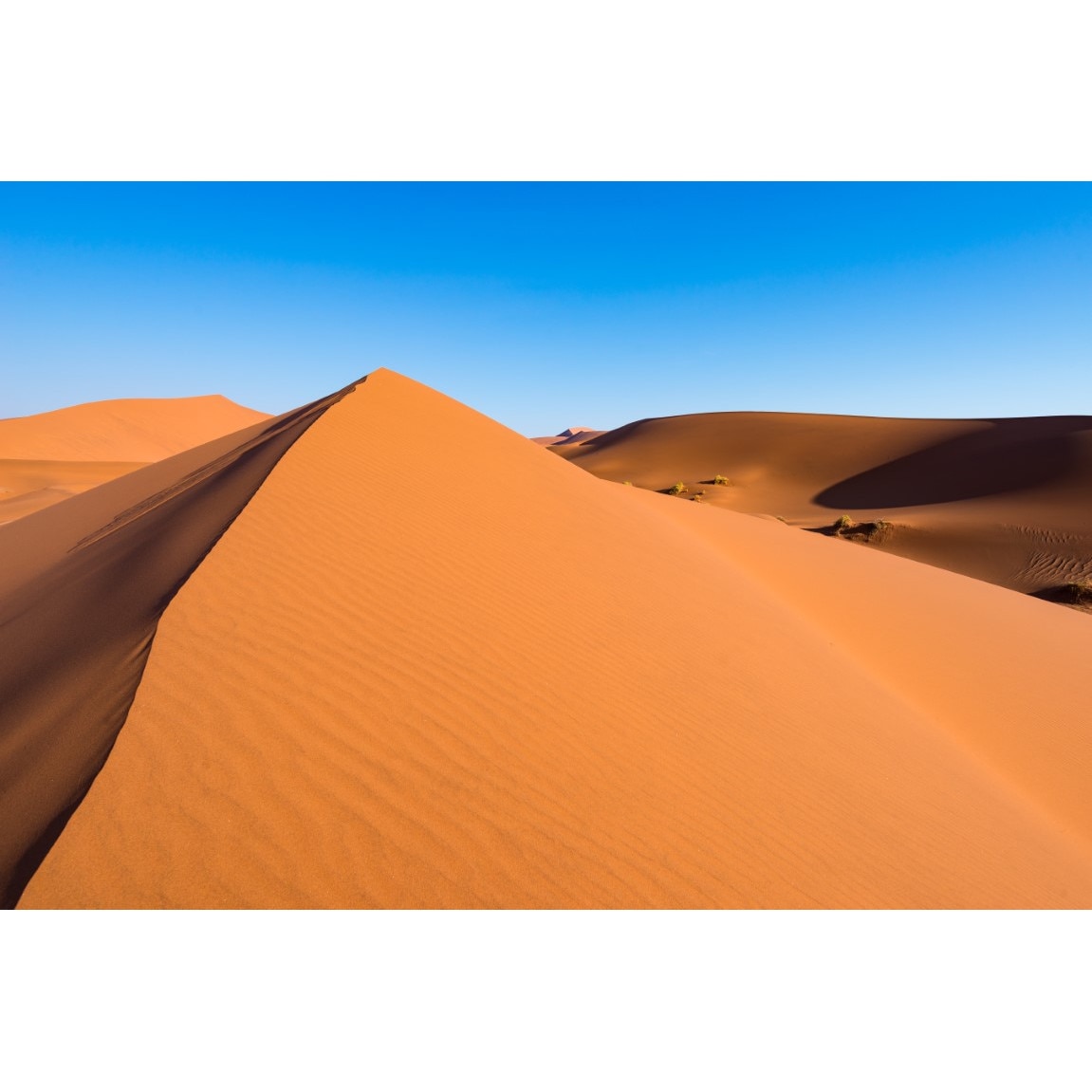 Tablou canvas Natura73, 105 x 70 cm