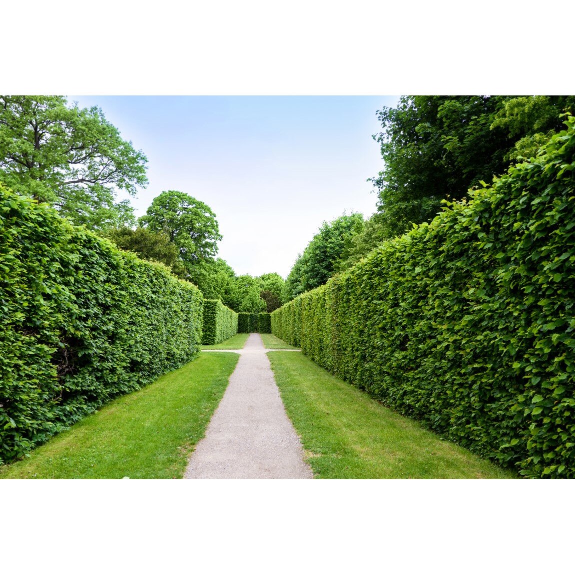 Tablou canvas Natura94, 90 x 60 cm