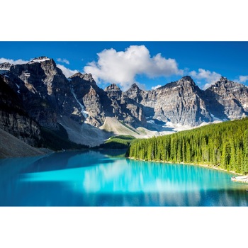 Autocolant Natura33, 220 x 135 cm Autocolant Natura33, 220 x 135 cm