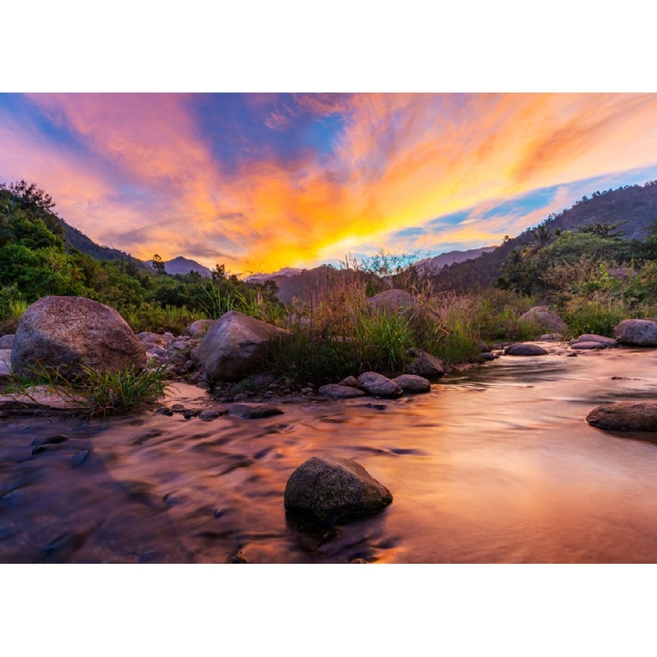 Natura88 tapéta, 400 x 250 cm