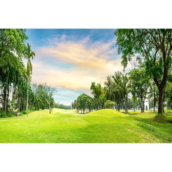 Fototapet de perete autoadeziv si lavabil Natura69, 220 x 135 cm Fototapet de perete autoadeziv si lavabil Natura69, 220 x 135 cm