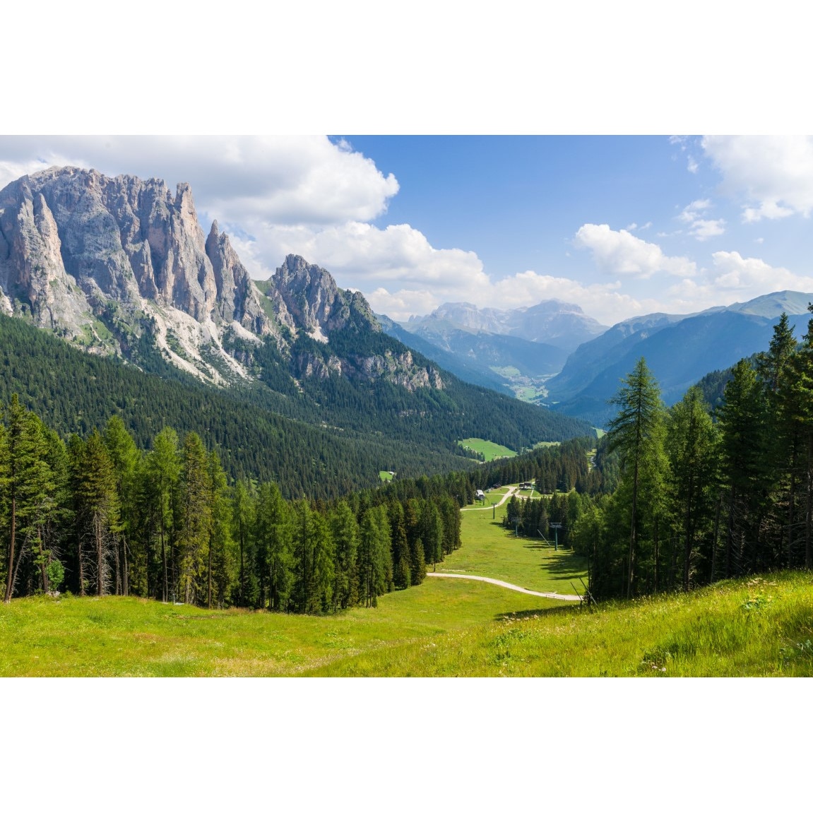 Tablou canvas Natura46, 45 x 30 cm