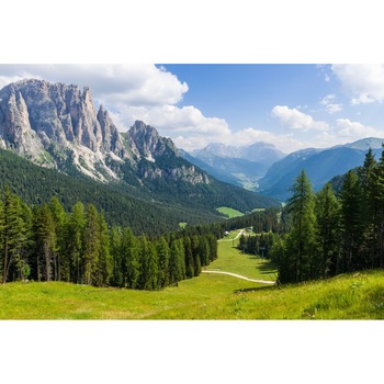 Autocolant Natura46, 220 x 135 cm Autocolant Natura46, 220 x 135 cm