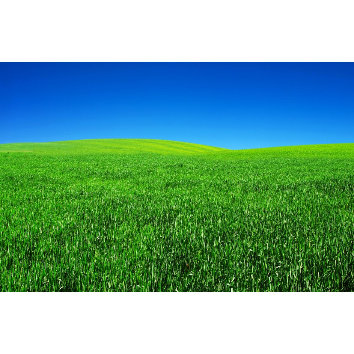 Tablou canvas Natura109, 90 x 60 cm