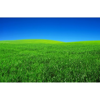 Tablou canvas Natura109, 105 x 70 cm Tablou canvas Natura109, 105 x 70 cm