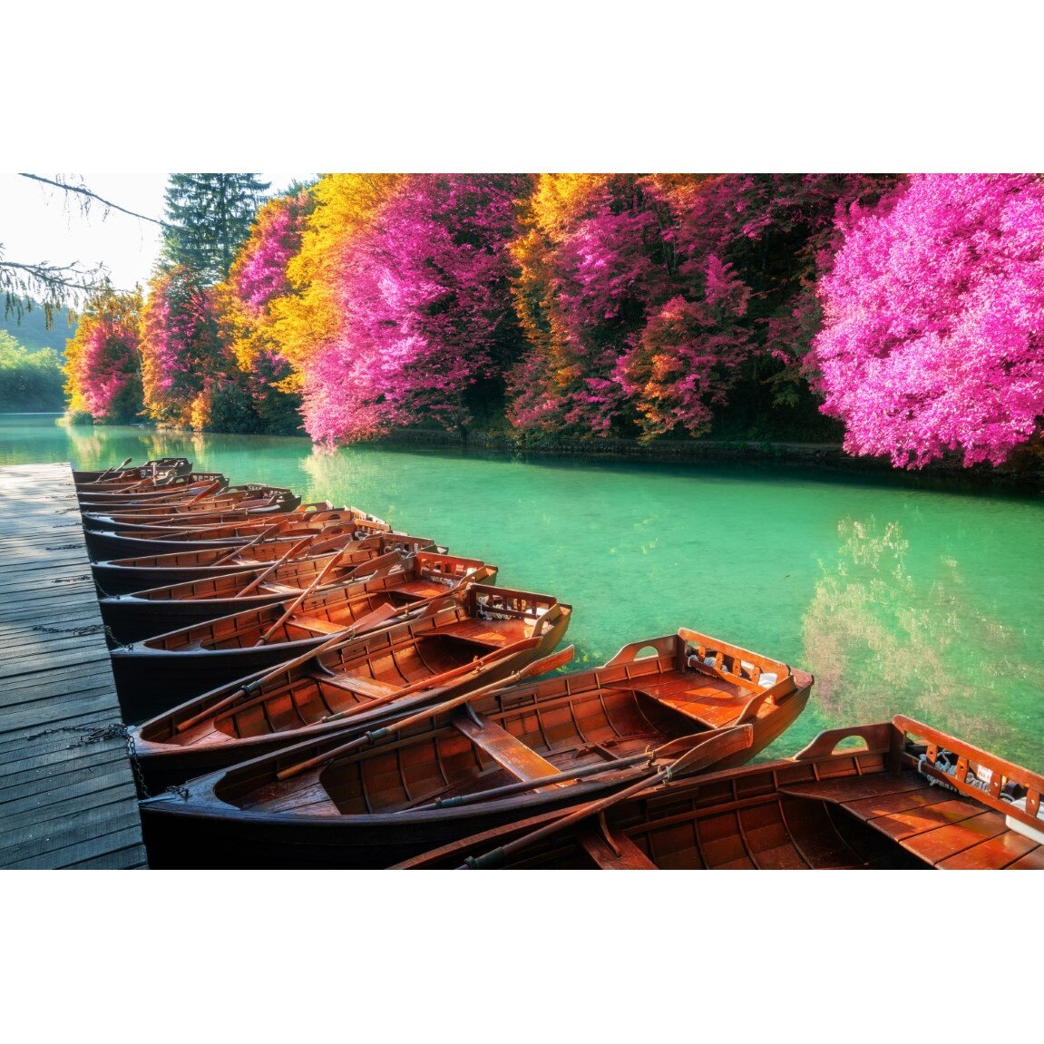 Tablou canvas Natura119, 45 x 30 cm