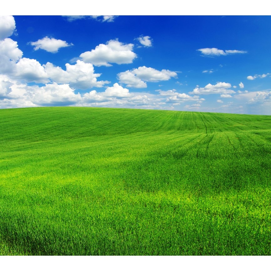 Tablou canvas Natura105, 45 x 45 cm