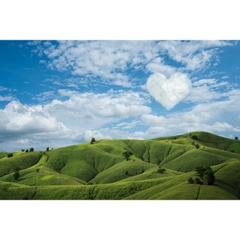 Tablou canvas Natura67, 90 x 60 cm Tablou canvas Natura67, 90 x 60 cm