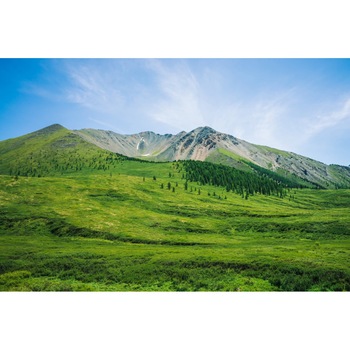 Fototapet de perete autoadeziv si lavabil Natura108, 270 x 200 cm Fototapet de perete autoadeziv si lavabil Natura108, 270 x 200 cm