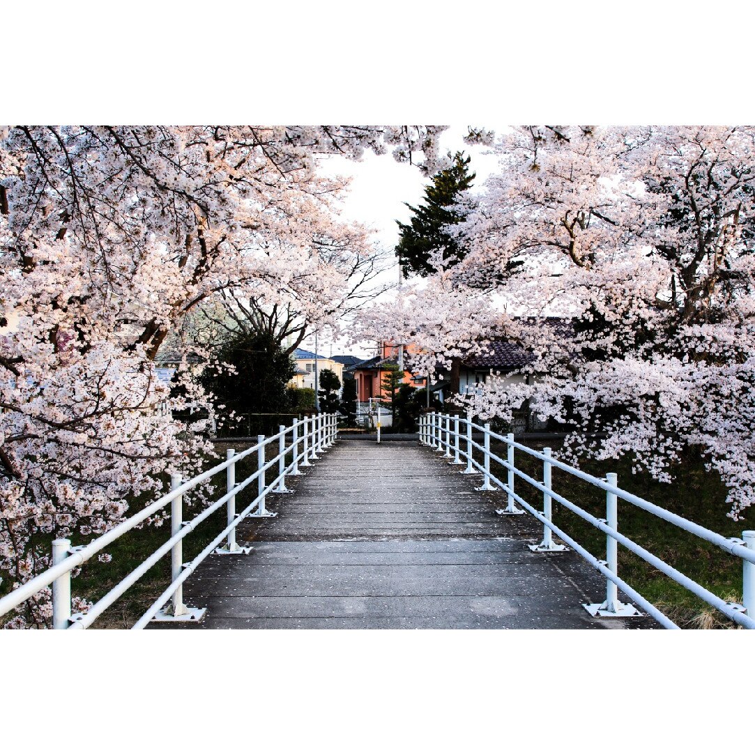 Tablou canvas Natura91, 105 x 70 cm