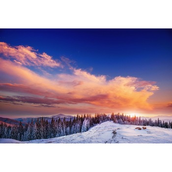 Tablou canvas Natura140, 105 x 70 cm Tablou canvas Natura140, 105 x 70 cm