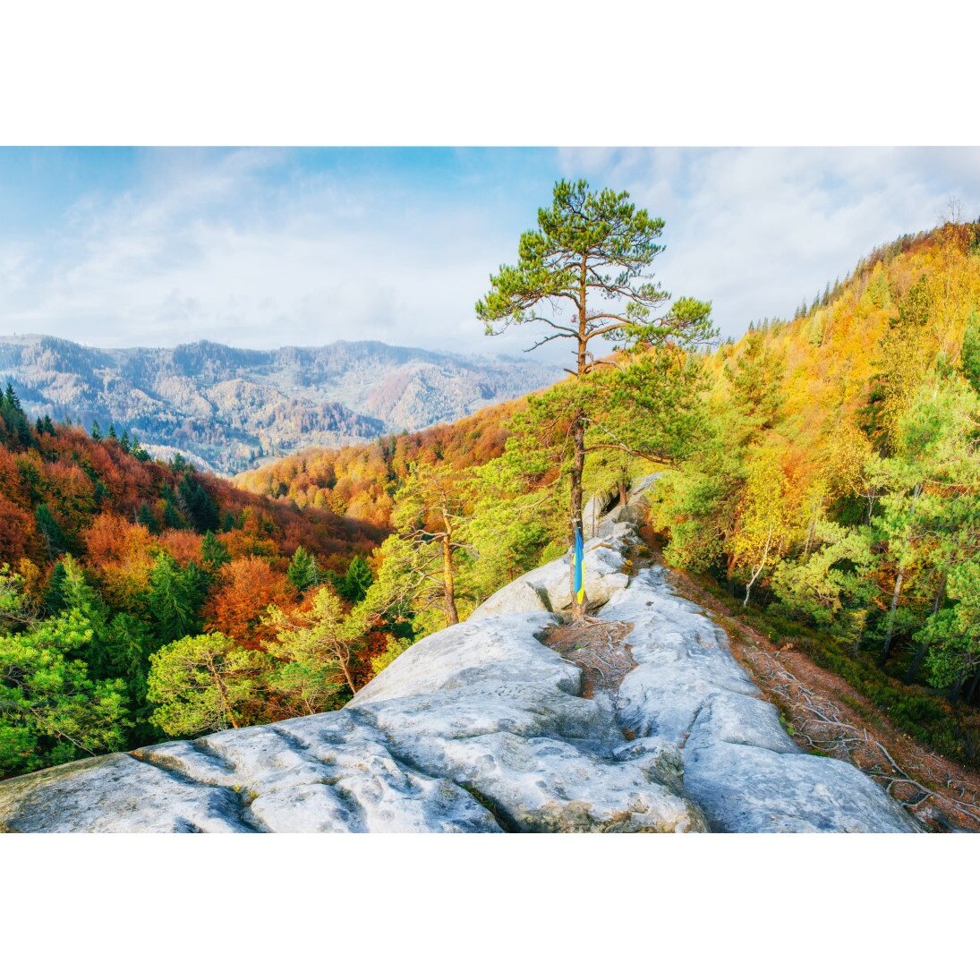 Tablou canvas Natura138, 45 x 30 cm