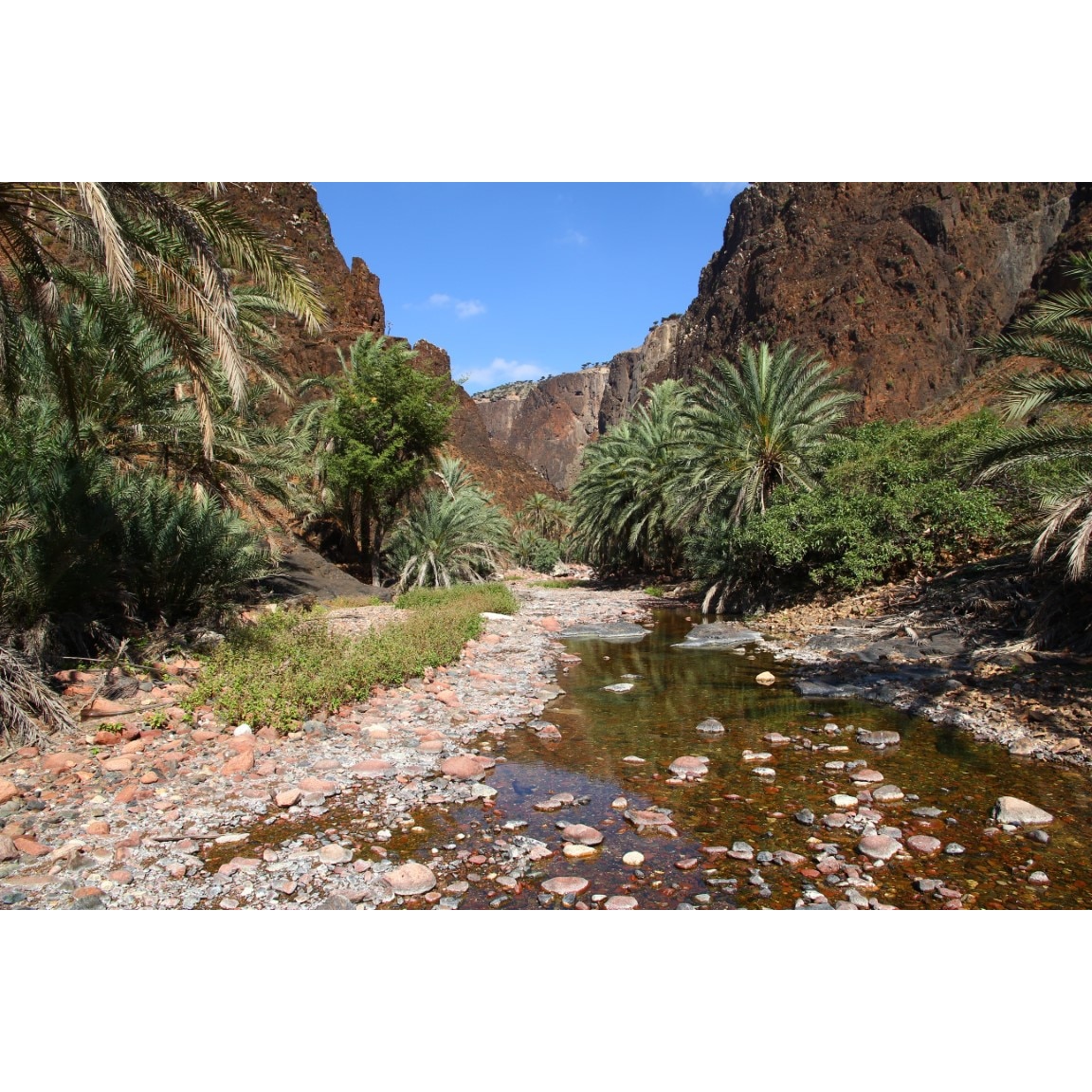 Tablou canvas Natura124, 75 x 50 cm