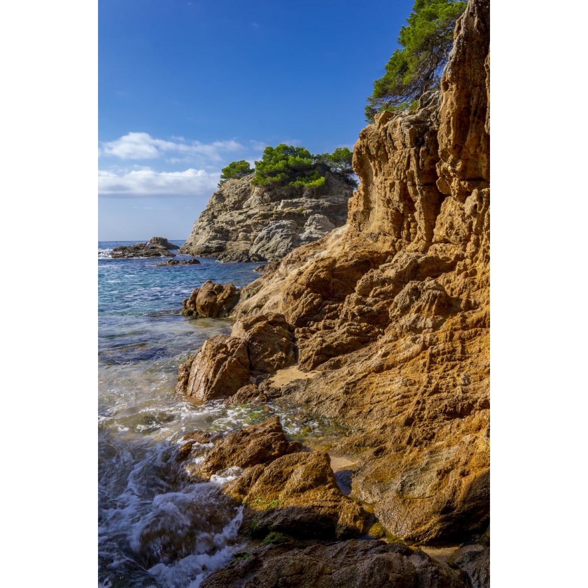 Tablou canvas Natura145, 30 x 45 cm