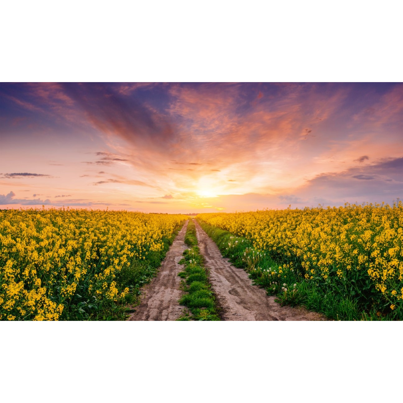 Tablou canvas Natura123, 105 x 70 cm