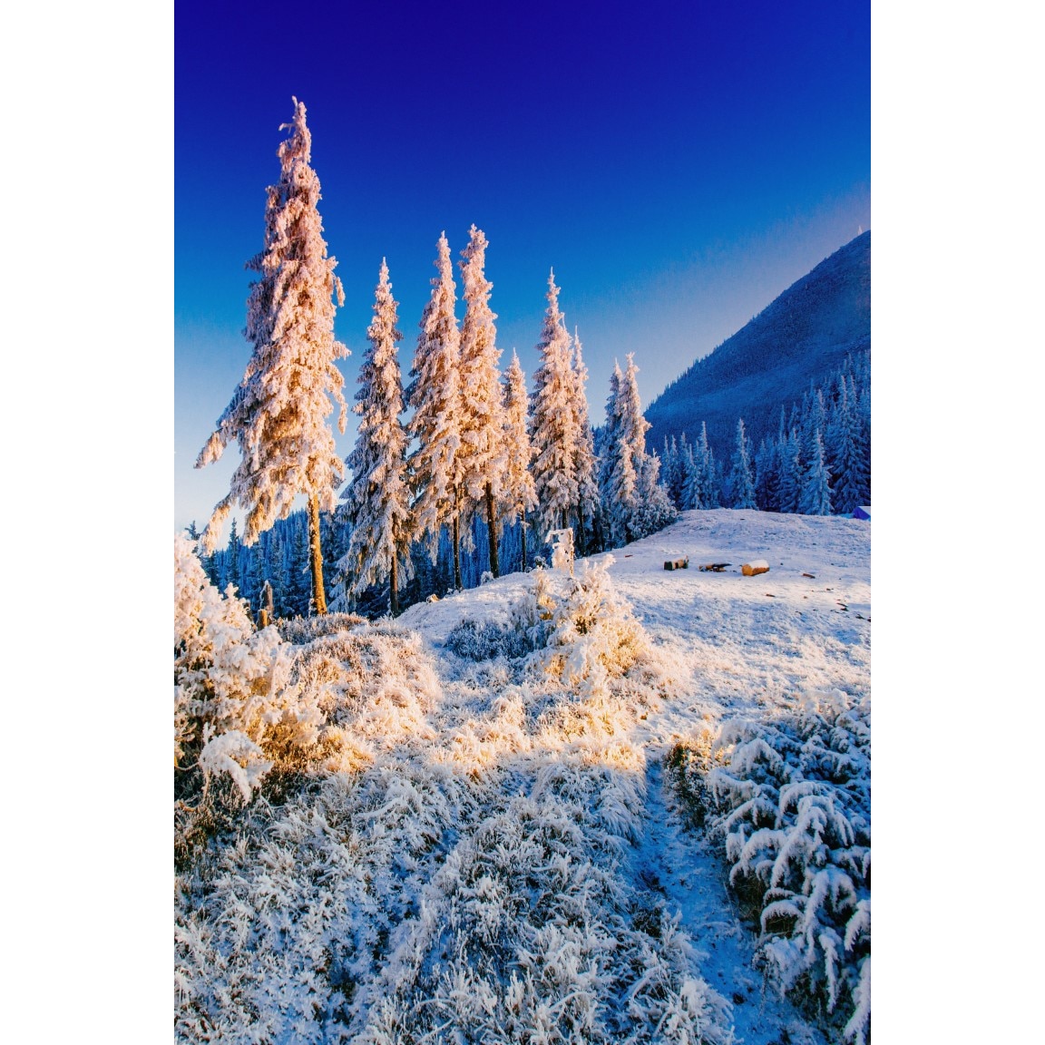 Tablou canvas Natura136, 70 x 105 cm