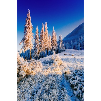 Tablou canvas Natura136, 30 x 45 cm Tablou canvas Natura136, 30 x 45 cm