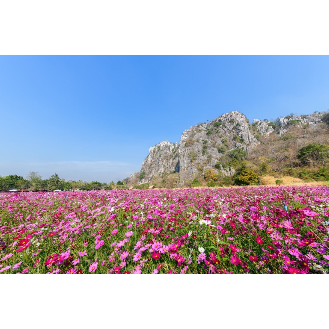 Tablou canvas Natura114, 75 x 50 cm