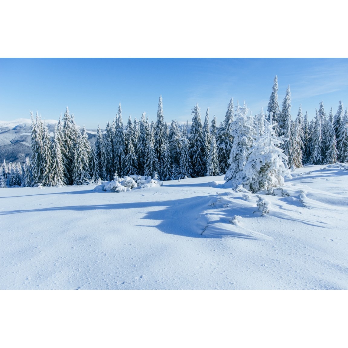 Tablou canvas Natura131, 105 x 70 cm