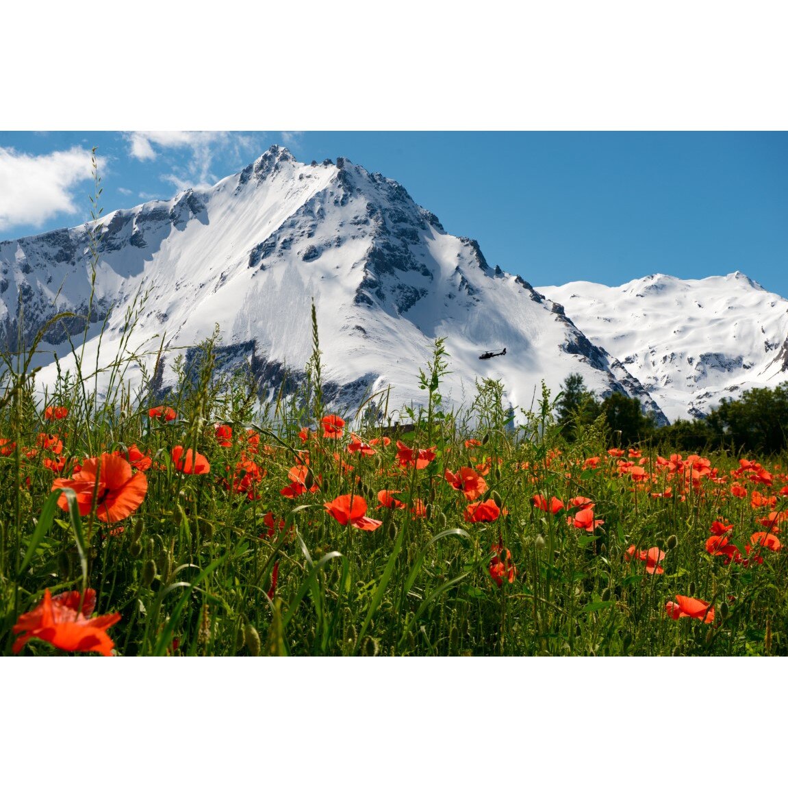 Tablou canvas Natura122, 45 x 30 cm