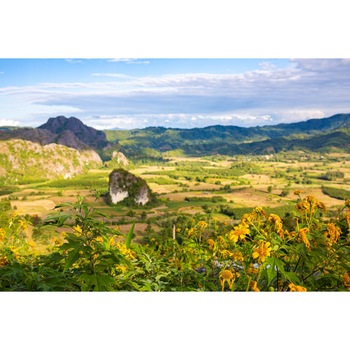 Tablou canvas Natura139, 75 x 50 cm Tablou canvas Natura139, 75 x 50 cm