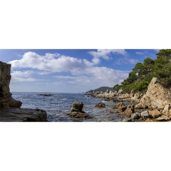 Tablou canvas Natura143, 45 x 30 cm Tablou canvas Natura143, 45 x 30 cm