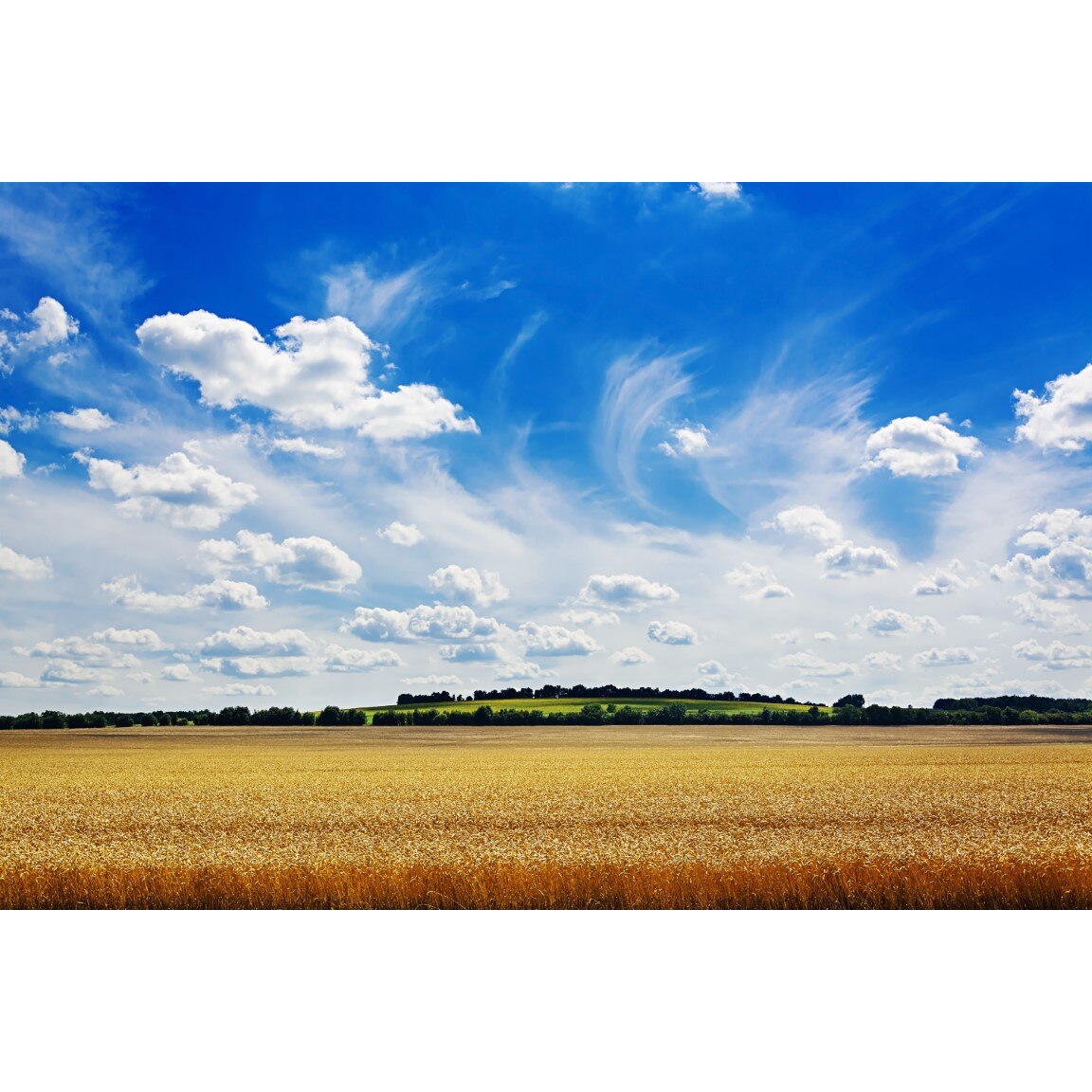 Tablou canvas Natura141, 105 x 70 cm