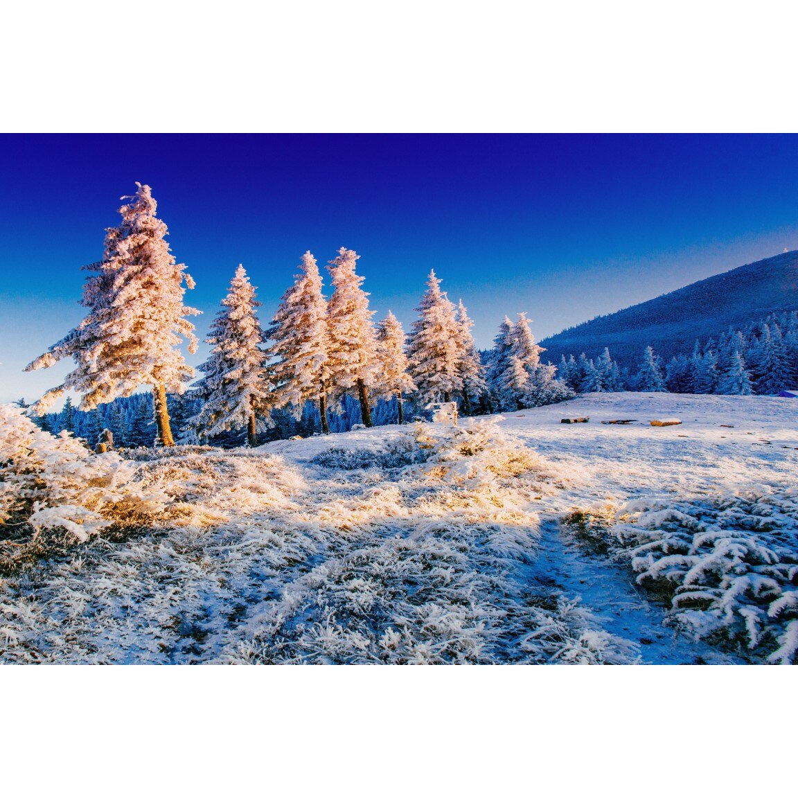 Tablou canvas Natura136, 75 x 50 cm