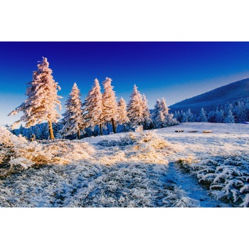 Tablou canvas Natura136, 90 x 60 cm Tablou canvas Natura136, 90 x 60 cm