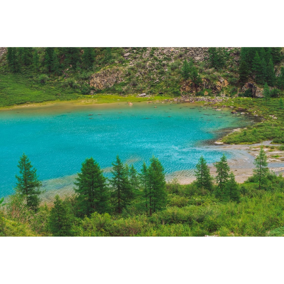 Tablou canvas Natura113, 105 x 70 cm