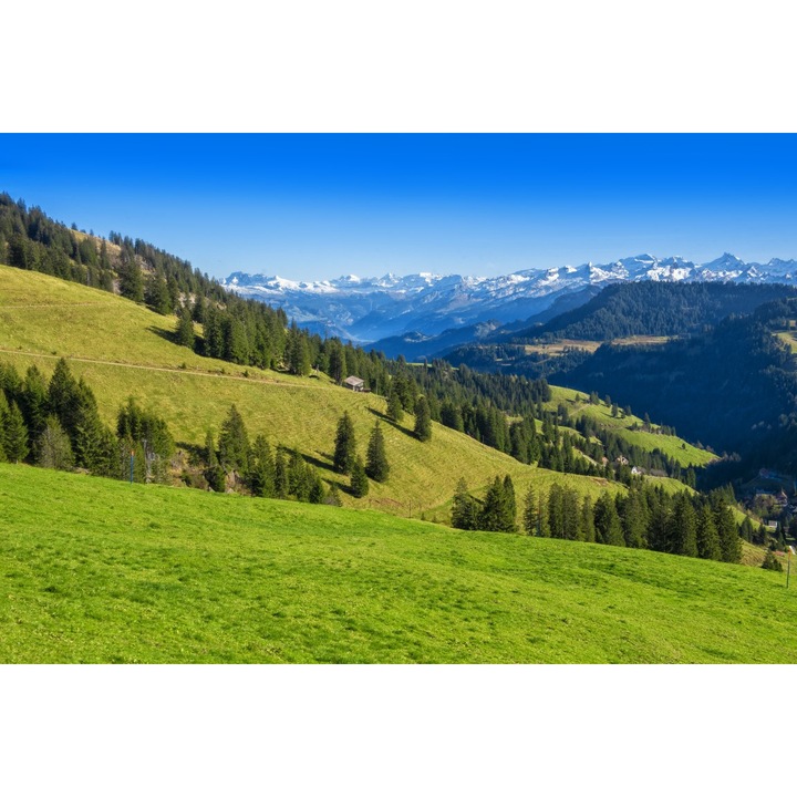 Fototapet de perete autoadeziv si lavabil Natura135, 270 x 200 cm