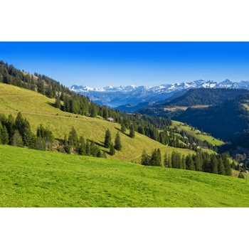 Tablou canvas Natura135, 90 x 60 cm Tablou canvas Natura135, 90 x 60 cm