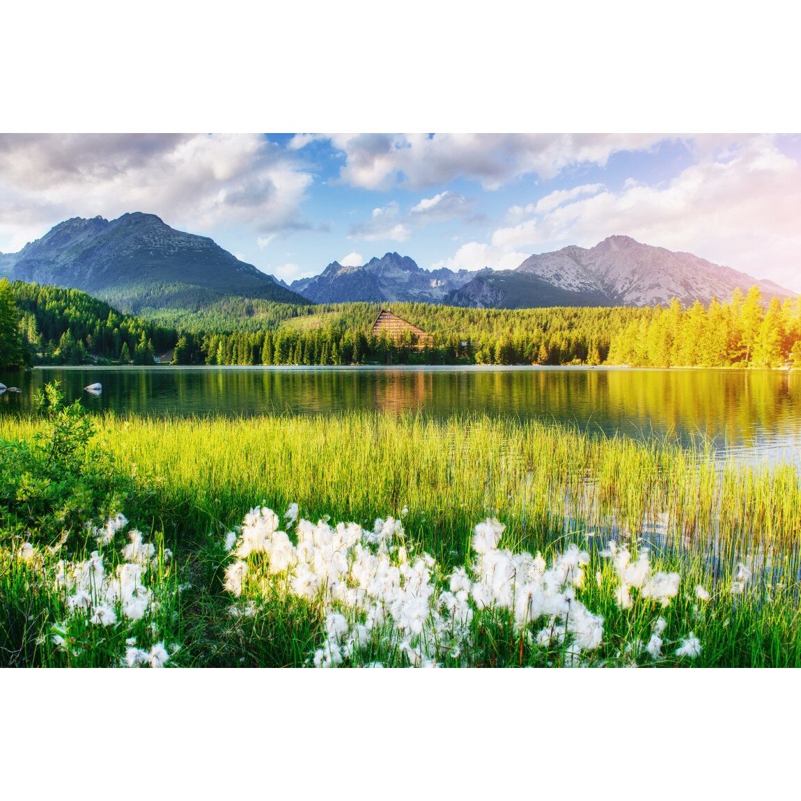 Fototapet de perete autoadeziv si lavabil Natura137, 220 x 135 cm