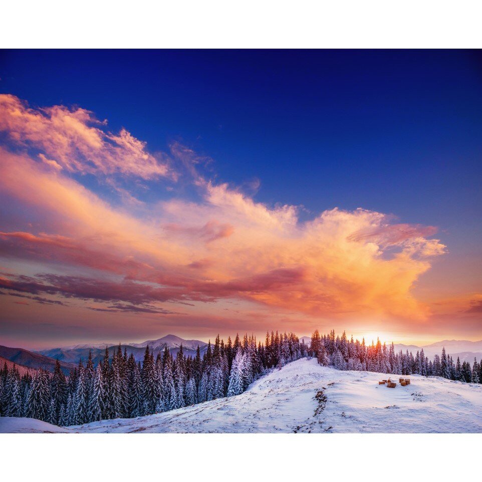 Tablou canvas Natura140, 60 x 60 cm