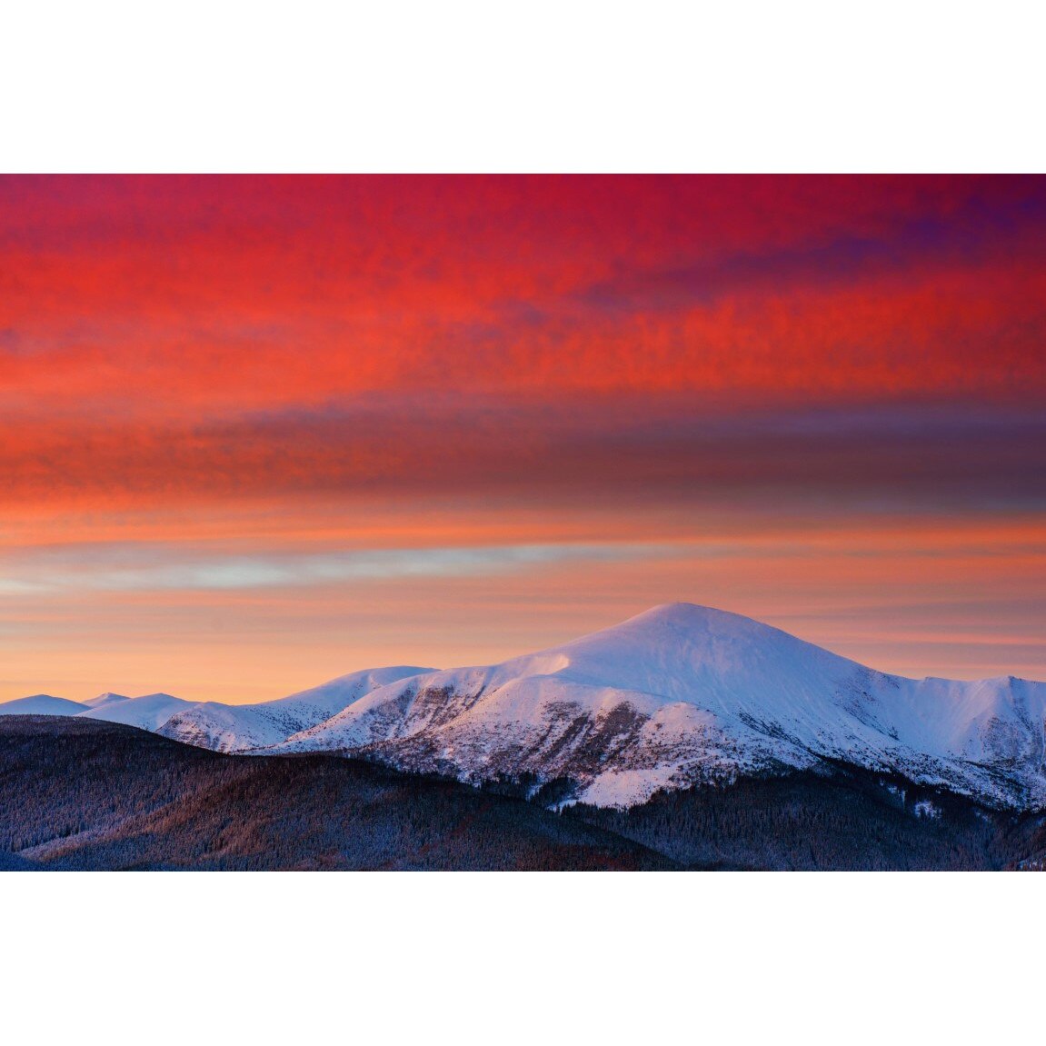 Tablou canvas Natura134, 75 x 50 cm