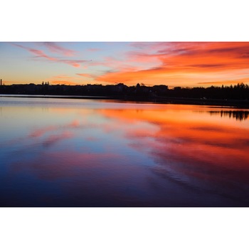 Tablou canvas Natura132, 45 x 30 cm Tablou canvas Natura132, 45 x 30 cm